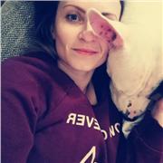 Laurea triennale. Aiuto compiti, lezioni e organizzazione dei metodi di studio